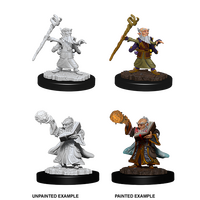 Gnome Wizard Male (Nolzur)