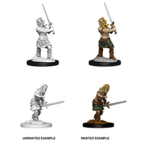 Male Human Barbarian (Pathfinder)