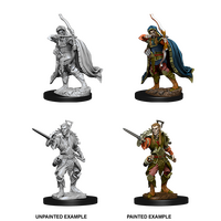 Elf Rogue Male (Nolzur)