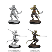 Tabaxi Rogue Male (Nolzur)