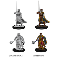 Human Cleric Male (Nolzur)