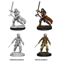 Vampire Hunters (Nolzur)