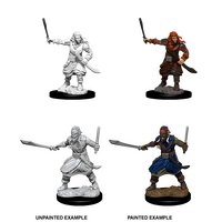 Bandits (Nolzur)