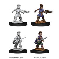 Female Halfling Rogue (Pathfinder)