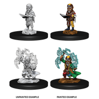 Male Gnome Sorcerer (Pathfinder)