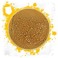 Agrellan Earth Technical Texture 24ml