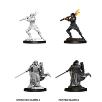 Human Paladin Female (Nolzur)
