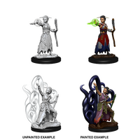 Human Warlock Female (Nolzur)