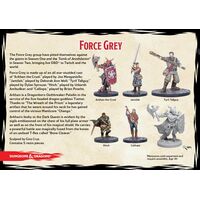D&D COLLECTOR'S FORCE GREY
