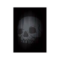LEGION DOUBLE MATTE SLEEVES SKULL (50)