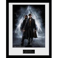 Fantastic Beasts 2 Framed Poster