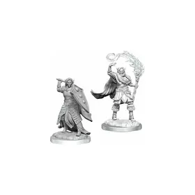 Elf Cleric Male - Nolzur