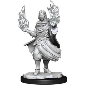 Hollow One Rogue & Sorcerer Male - Critical Role