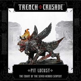 The Court: Pit Locust