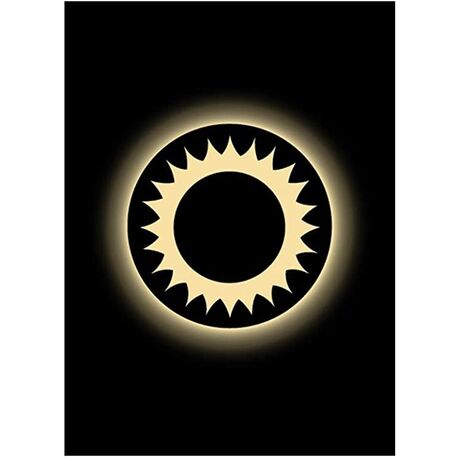 LEGION MATTE SLEEVES SUN