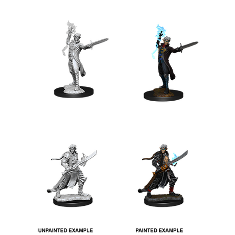 Elf Magus Male (Pathfinder)