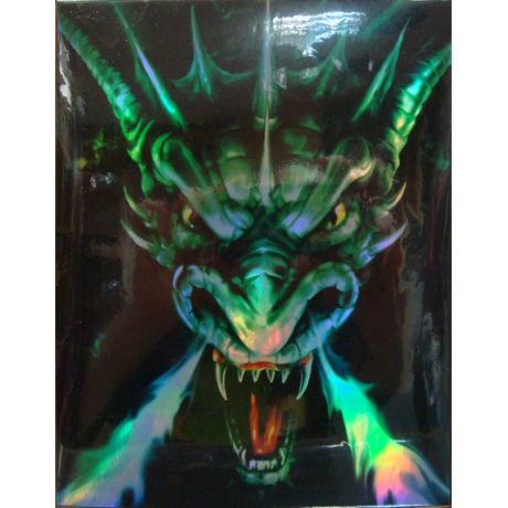 Four pocket Guardian Dragon portfolio