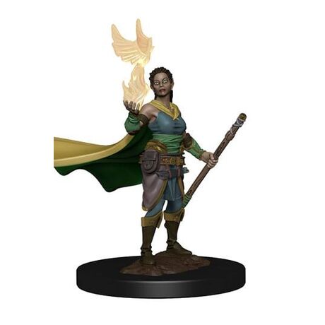 Elf Female Druid - Icons of the Realms