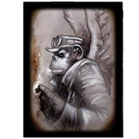 The Monkey General Sleeves
