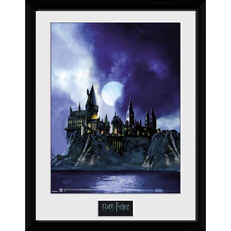 Harry Potter Hogwarts Collector Print 30x40cm