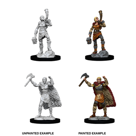 Human Barbarian Female Nolzur