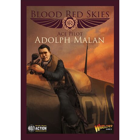 Sailor Malan British Ace Pilot