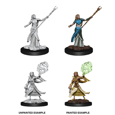 Elf Sorcerer Female Nolzur