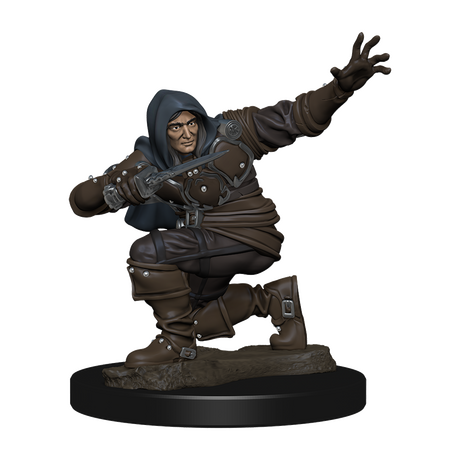 Human Male Rogue Premium