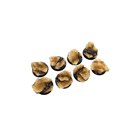 Shale Bases, Round 32mm (4)