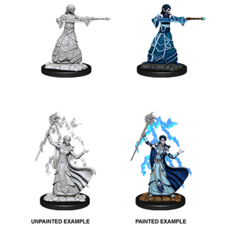 Elf Wizard Female Nolzur