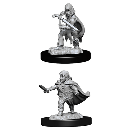 Halfling Male Rogue (Nolzur)