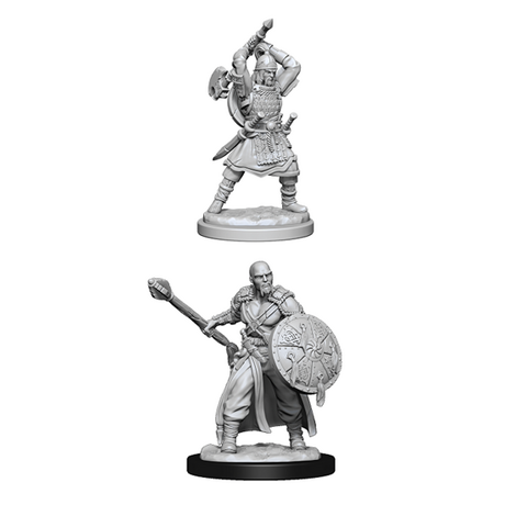 Human Male Barbarian (Nolzur)
