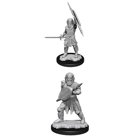 Human Male Fighter (Nolzur)