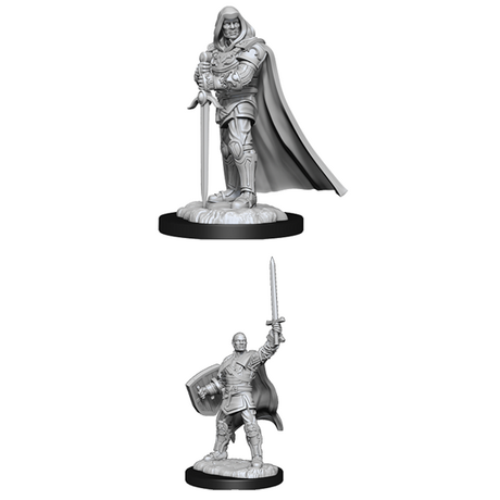 Human Male Paladin (Nolzur)