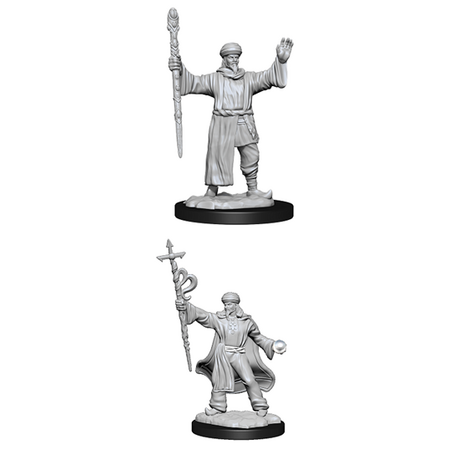 Human Male Wizard (Nolzur)