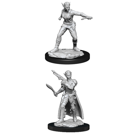 Shifter Female Rogue (Nolzur)