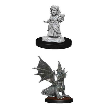 Silver Dragon Wyrmling & Halfling Dragon Friend