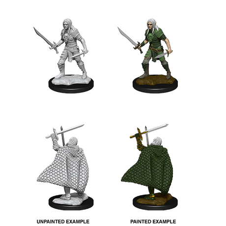 Elf Male Fighter (Pathfinder)