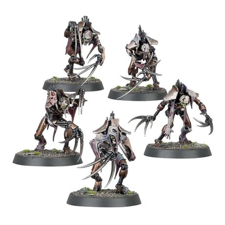 Necrons: Flayed Ones