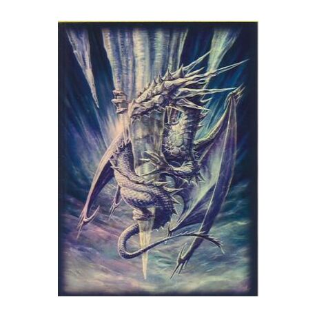 Four pocket Arctic Dragon portfolio