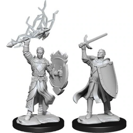 Half-Elf Paladin Male Nolzur