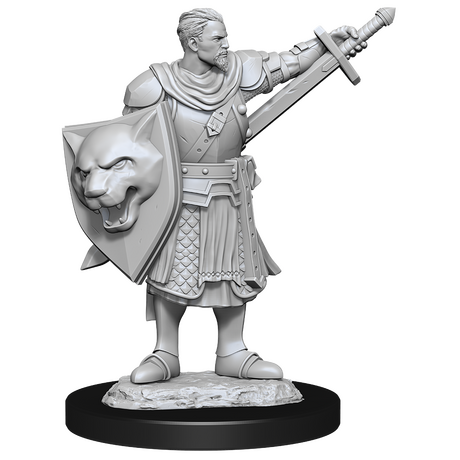 Human Champion Male (Pathfinder)