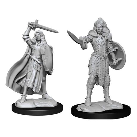 Human Champion Female (Pathfinder)