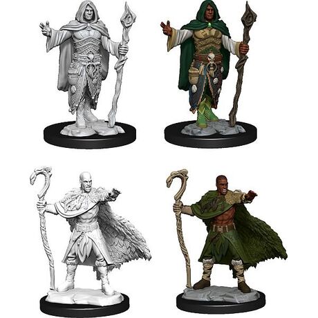 Human Druid Male Nolzur