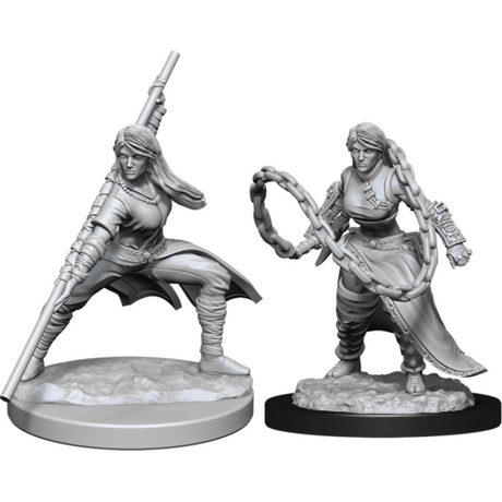Human Monk Female Nolzur