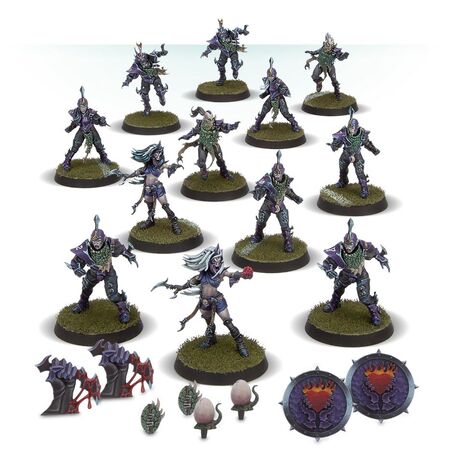 Blood Bowl: Dark Elf Team - The Naggaroth Nightmares