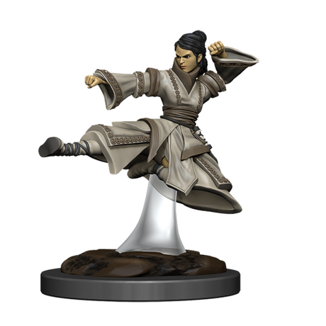 Human Female Monk - Premium (Icons of the Realms)