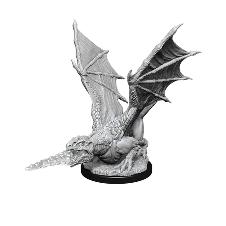 White Dragon Wyrmling (Nolzur)