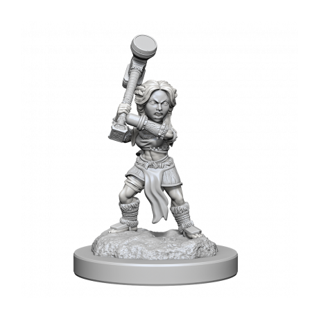 Halfling Barbarians (Nolzur)