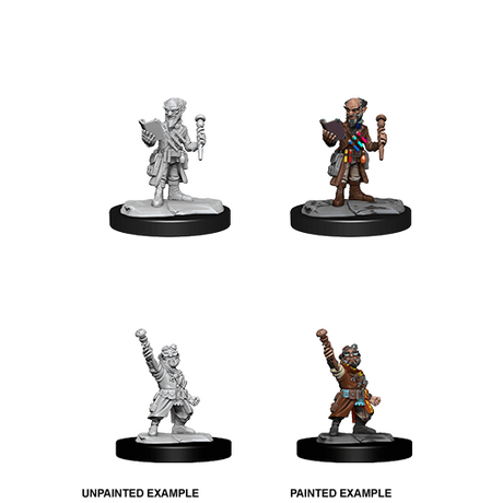 Gnome Artificer Male (Nolzur)